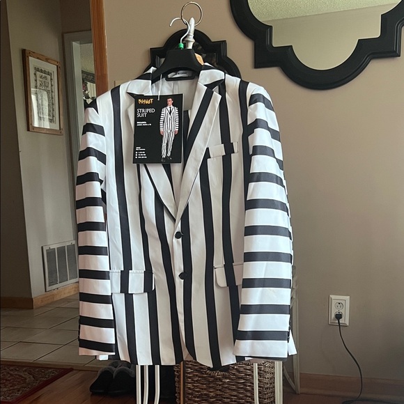 Beetlejuice costume with wig - Picture 1 of 5